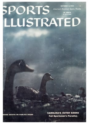 41428 - Cover Image